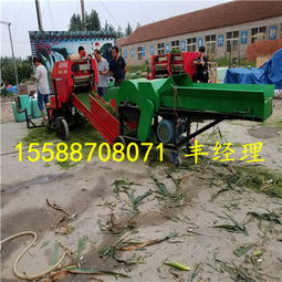長沙青儲打捆機 專業廠家與服務，賦能糧食加工食品生產