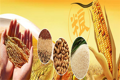 豐園農副食品 深耕糧食加工，守護百姓餐桌安全與營養