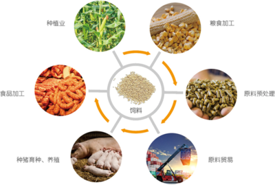 谷實生物成功完成創業板上市輔導，2020年營收突破17億元，糧食加工食品生產領域再添強將