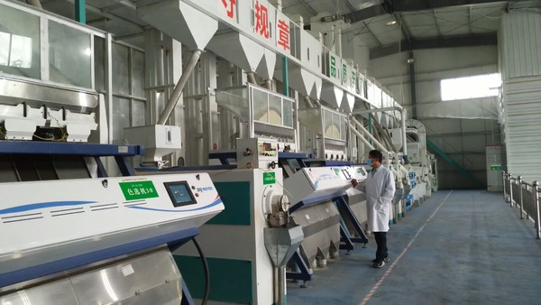大米加工生產制度 確保糧食加工食品質量與安全