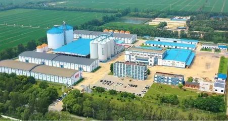 盤錦好糧香飄四海，盛會讓利惠聚八方——探訪糧食加工食品產業的“沃土”